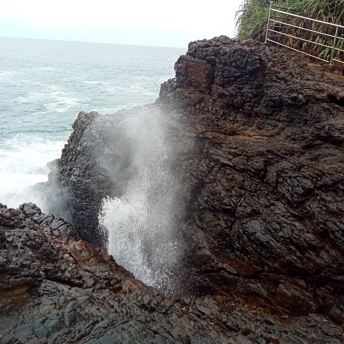 Mawella