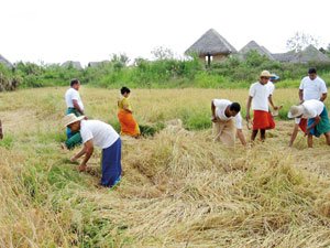 Erntefeste und regionale Messen in Sri Lanka: Feier der Natur, Kultur und Gemeinschaft