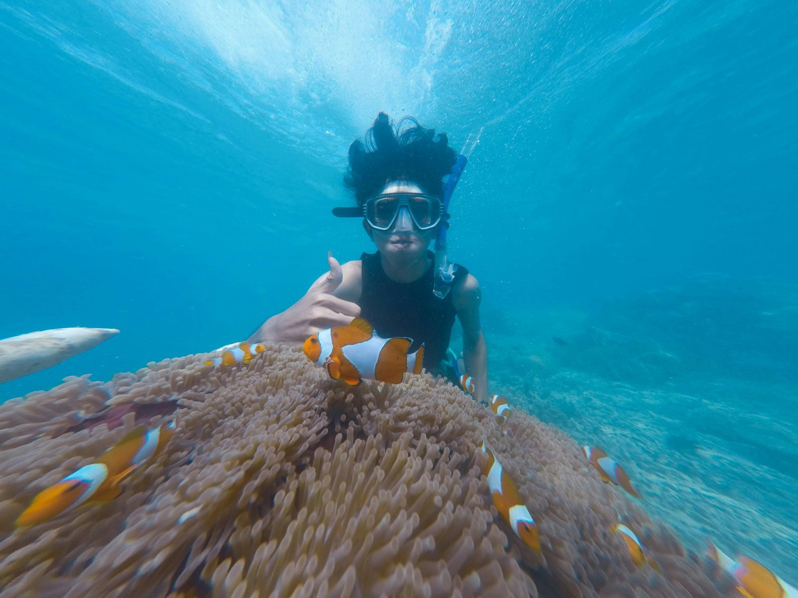 Snorkelspots, die du in Sri Lanka nicht verpassen solltest: Entdecke die Unterwasserwelt der Insel